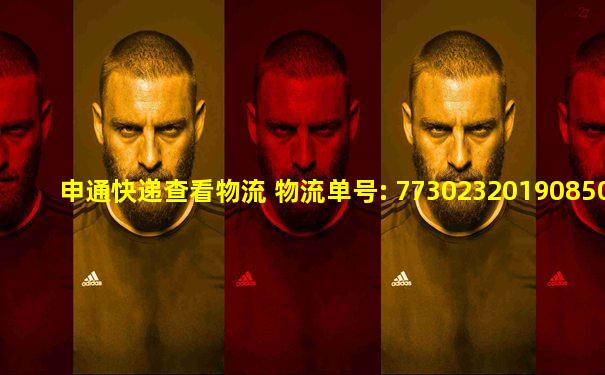 申通快递查看物流 物流单号: 773023201908505